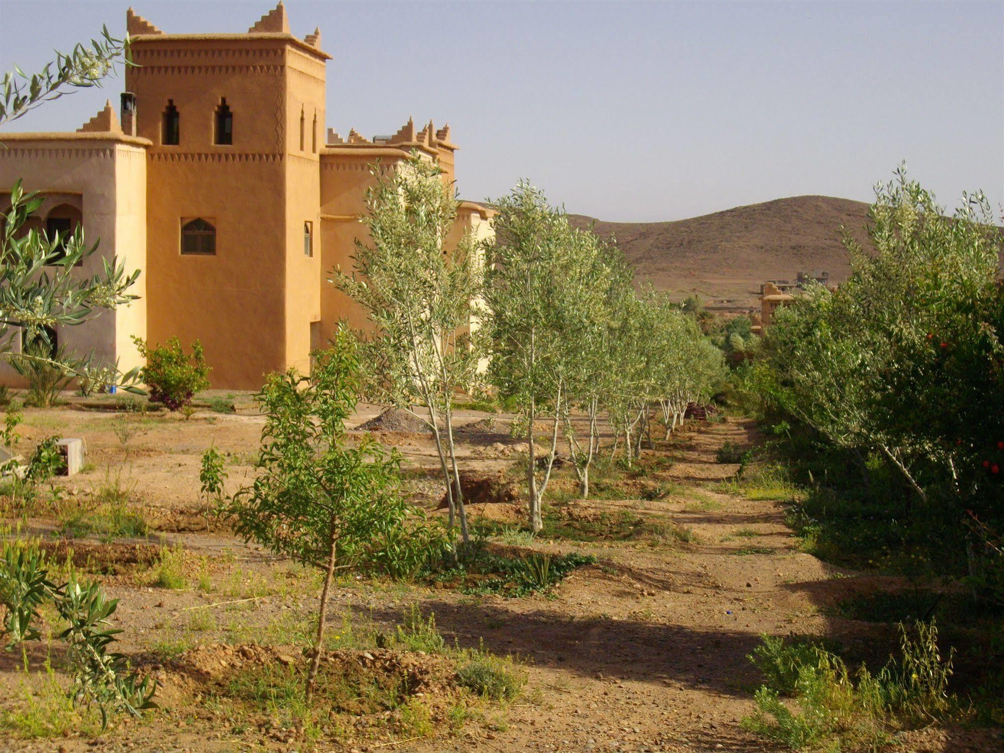 Kasbah Zitoune Tajda Exteriör bild